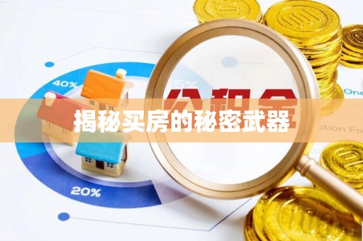 吐鲁番揭秘买房的秘密武器