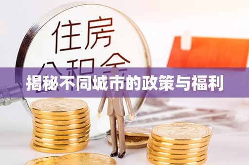 吐鲁番揭秘不同城市的政策与福利