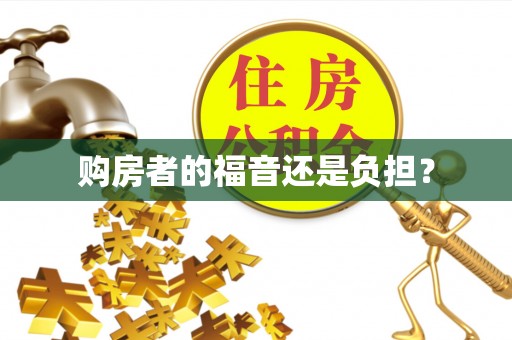 吐鲁番购房者的福音还是负担？