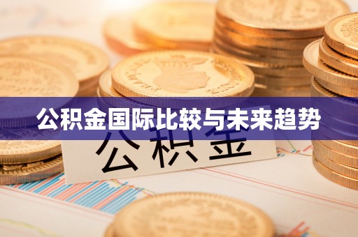 吐鲁番公积金国际比较与未来趋势