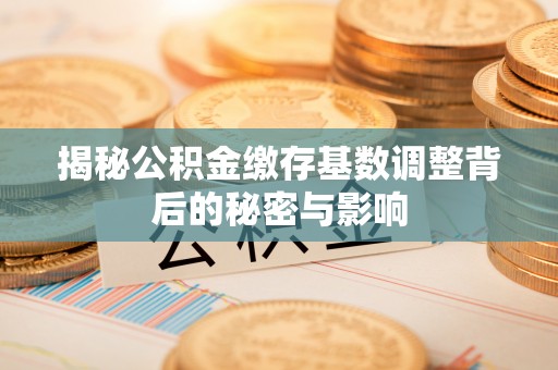 吐鲁番揭秘公积金缴存基数调整背后的秘密与影响