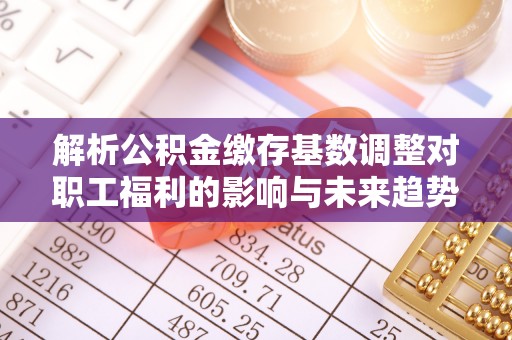 吐鲁番解析公积金缴存基数调整对职工福利的影响与未来趋势