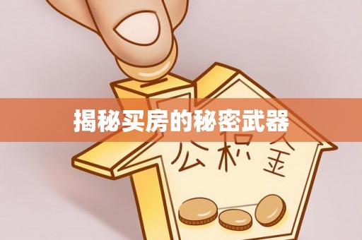 吐鲁番揭秘买房的秘密武器