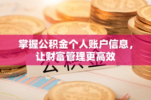 吐鲁番掌握公积金个人账户信息，让财富管理更高效