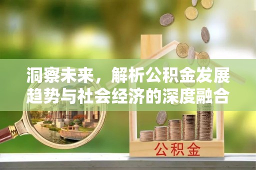 吐鲁番洞察未来，解析公积金发展趋势与社会经济的深度融合