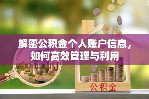 吐鲁番解密公积金个人账户信息，如何高效管理与利用