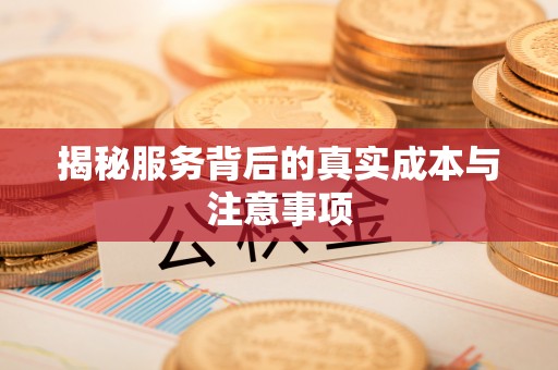 吐鲁番揭秘服务背后的真实成本与注意事项