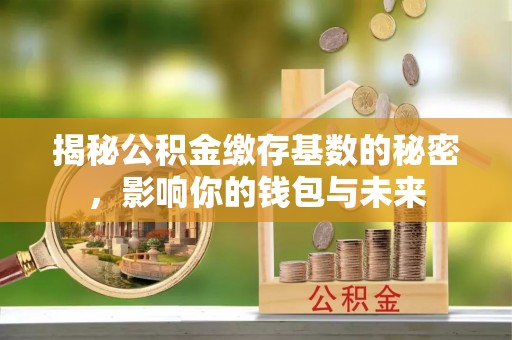 吐鲁番揭秘公积金缴存基数的秘密，影响你的钱包与未来