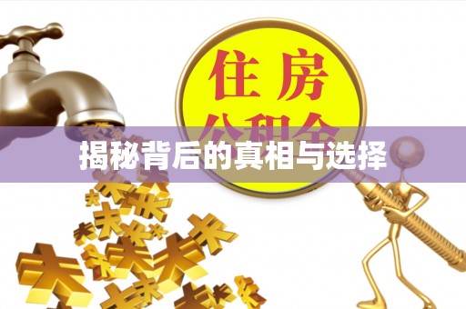 吐鲁番揭秘背后的真相与选择