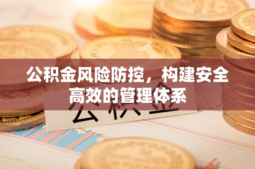 吐鲁番公积金风险防控，构建安全高效的管理体系
