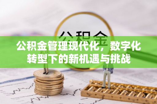吐鲁番公积金管理现代化，数字化转型下的新机遇与挑战
