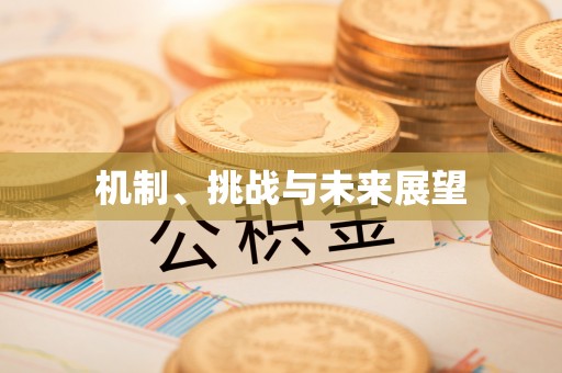 吐鲁番机制、挑战与未来展望